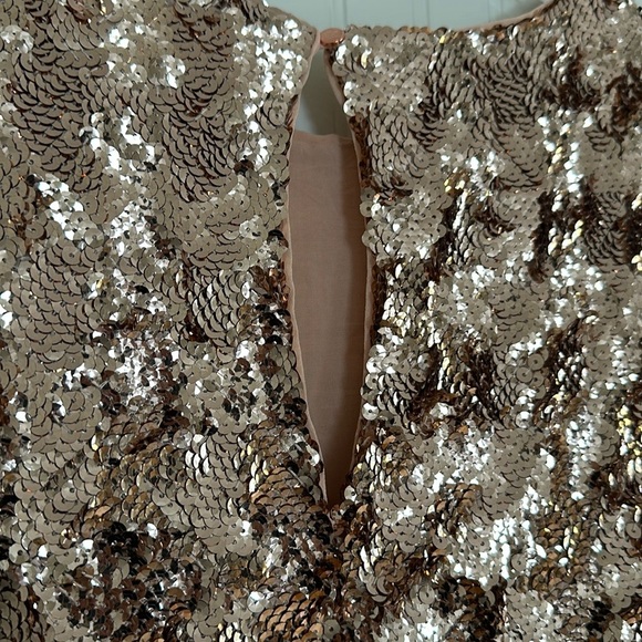 Anthropologie x Maeve Bernadette Sequin Midi Dress NWT - Picture 9 of 12